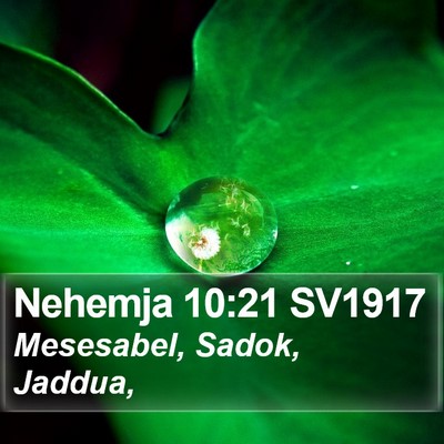 Nehemja 10:21 SV1917 Bible Verse Image
