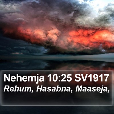 Nehemja 10:25 SV1917 Bible Verse Image