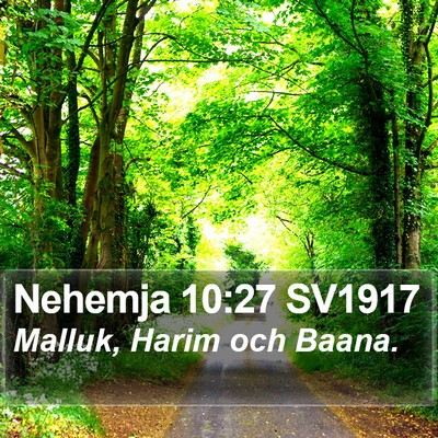 Nehemja 10:27 SV1917 Bible Verse Image
