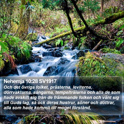 Nehemja 10:28 SV1917 Bible Verse Image