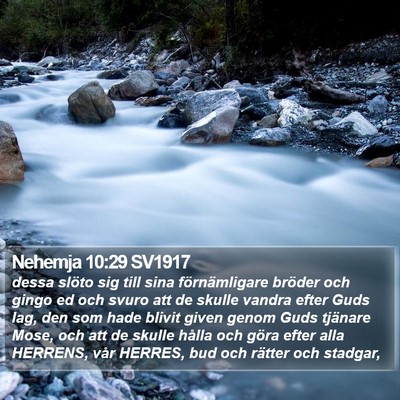 Nehemja 10:29 SV1917 Bible Verse Image
