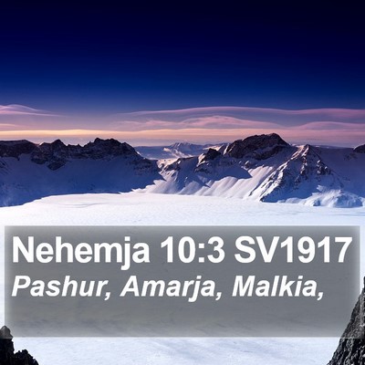 Nehemja 10:3 SV1917 Bible Verse Image