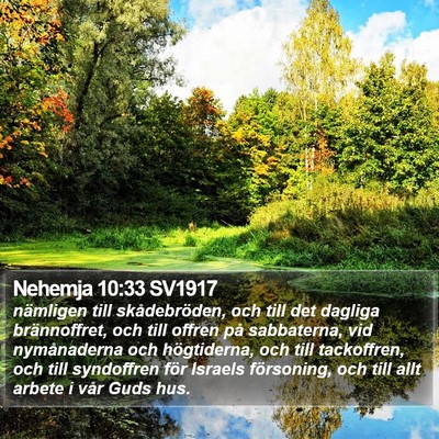 Nehemja 10:33 SV1917 Bible Verse Image