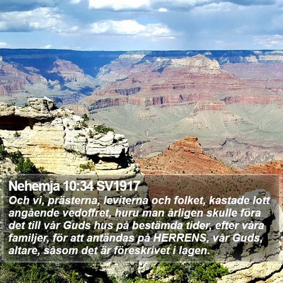Nehemja 10:34 SV1917 Bible Verse Image
