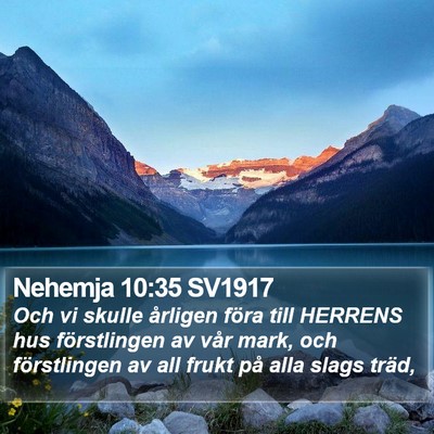 Nehemja 10:35 SV1917 Bible Verse Image