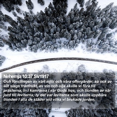 Nehemja 10:37 SV1917 Bible Verse Image