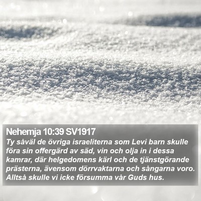 Nehemja 10:39 SV1917 Bible Verse Image