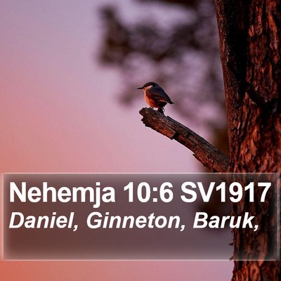 Nehemja 10:6 SV1917 Bible Verse Image