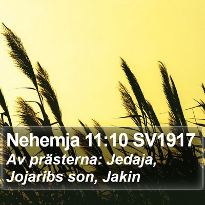 Nehemja 11:10 SV1917 Bible Verse Image