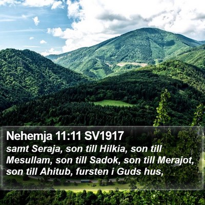 Nehemja 11:11 SV1917 Bible Verse Image