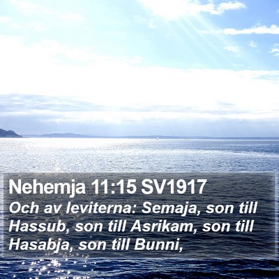 Nehemja 11:15 SV1917 Bible Verse Image