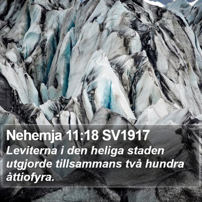 Nehemja 11:18 SV1917 Bible Verse Image