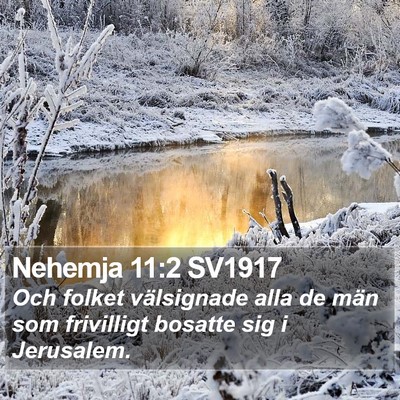 Nehemja 11:2 SV1917 Bible Verse Image