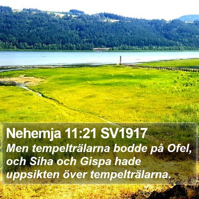 Nehemja 11:21 SV1917 Bible Verse Image