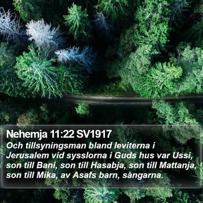 Nehemja 11:22 SV1917 Bible Verse Image