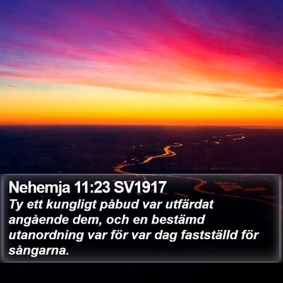 Nehemja 11:23 SV1917 Bible Verse Image