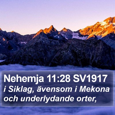 Nehemja 11:28 SV1917 Bible Verse Image
