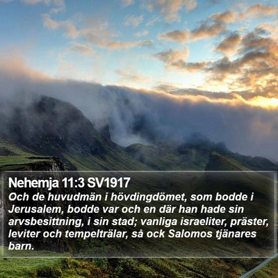 Nehemja 11:3 SV1917 Bible Verse Image