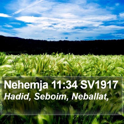 Nehemja 11:34 SV1917 Bible Verse Image