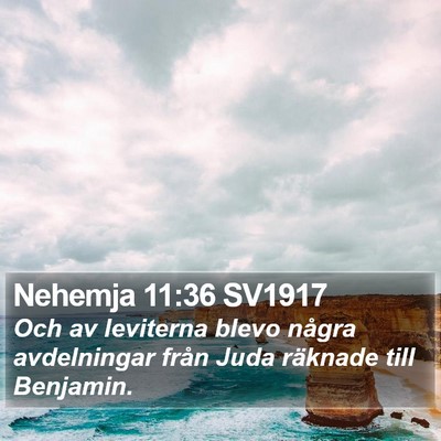 Nehemja 11:36 SV1917 Bible Verse Image