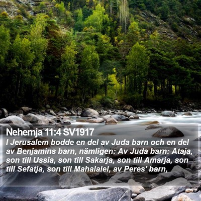 Nehemja 11:4 SV1917 Bible Verse Image