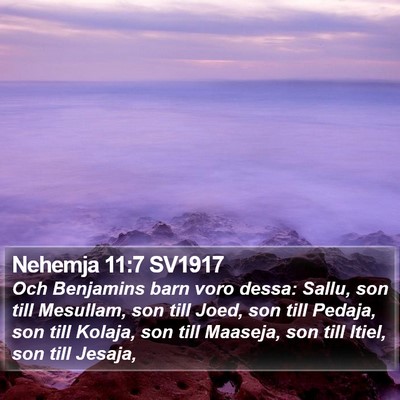 Nehemja 11:7 SV1917 Bible Verse Image