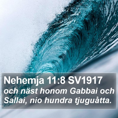 Nehemja 11:8 SV1917 Bible Verse Image