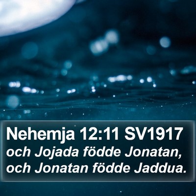 Nehemja 12:11 SV1917 Bible Verse Image