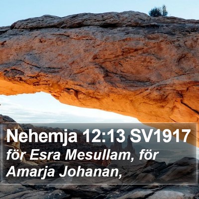 Nehemja 12:13 SV1917 Bible Verse Image
