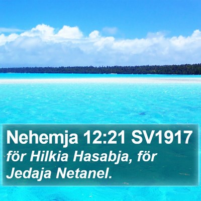 Nehemja 12:21 SV1917 Bible Verse Image