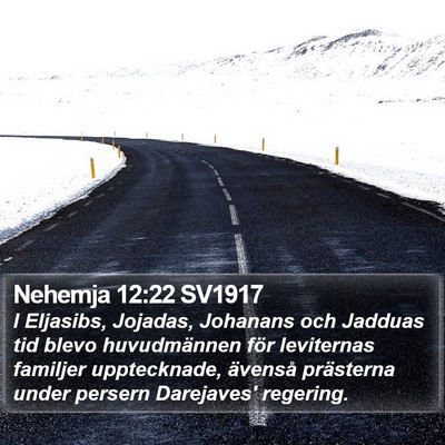Nehemja 12:22 SV1917 Bible Verse Image