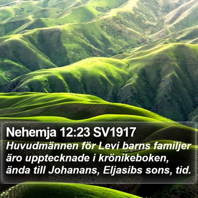 Nehemja 12:23 SV1917 Bible Verse Image