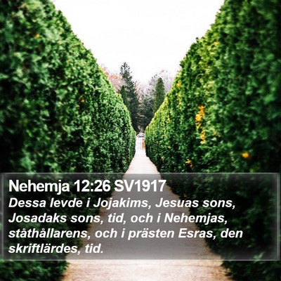 Nehemja 12:26 SV1917 Bible Verse Image