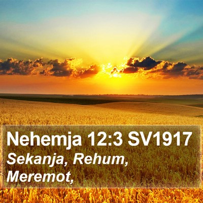 Nehemja 12:3 SV1917 Bible Verse Image