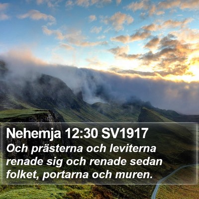Nehemja 12:30 SV1917 Bible Verse Image