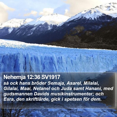 Nehemja 12:36 SV1917 Bible Verse Image