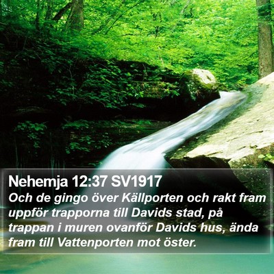 Nehemja 12:37 SV1917 Bible Verse Image