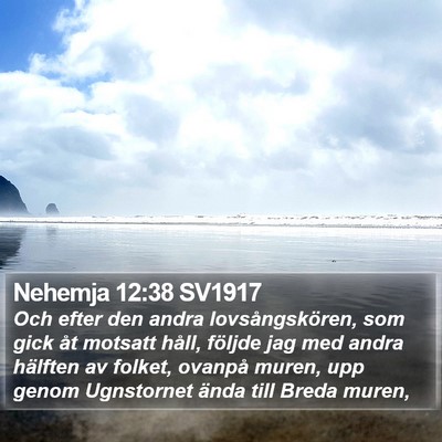 Nehemja 12:38 SV1917 Bible Verse Image