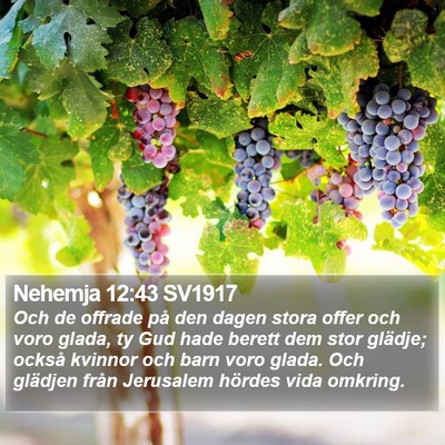 Nehemja 12:43 SV1917 Bible Verse Image