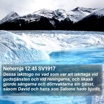 Nehemja 12:45 SV1917 Bible Verse Image