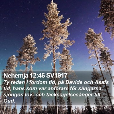 Nehemja 12:46 SV1917 Bible Verse Image