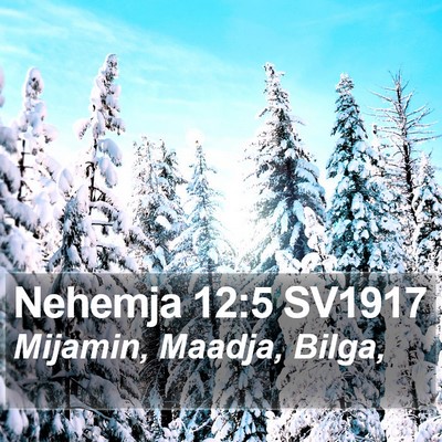 Nehemja 12:5 SV1917 Bible Verse Image