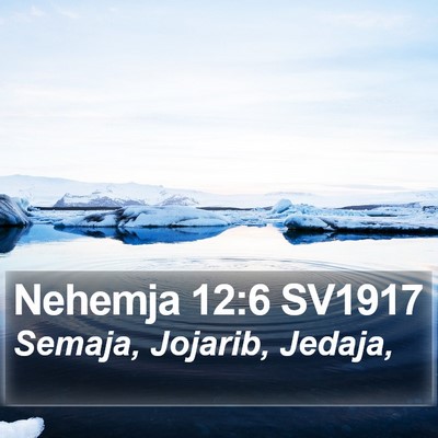Nehemja 12:6 SV1917 Bible Verse Image