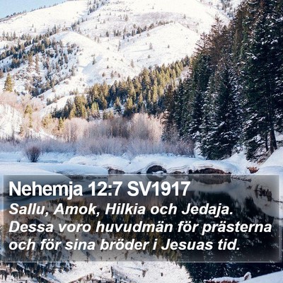 Nehemja 12:7 SV1917 Bible Verse Image