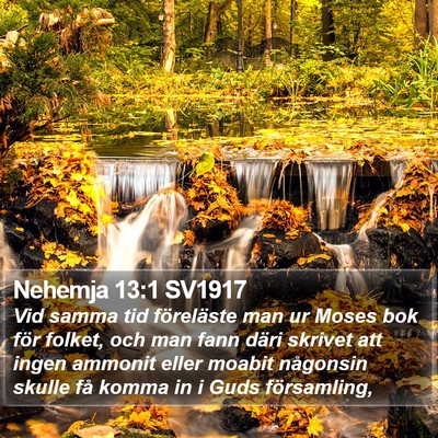 Nehemja 13:1 SV1917 Bible Verse Image