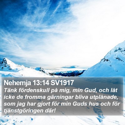 Nehemja 13:14 SV1917 Bible Verse Image