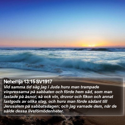 Nehemja 13:15 SV1917 Bible Verse Image