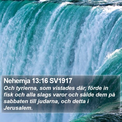 Nehemja 13:16 SV1917 Bible Verse Image