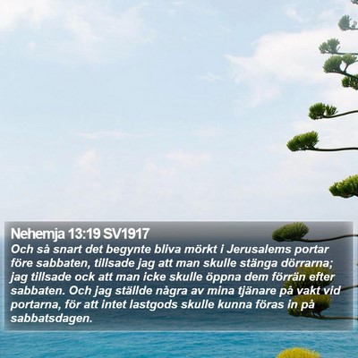 Nehemja 13:19 SV1917 Bible Verse Image