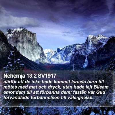 Nehemja 13:2 SV1917 Bible Verse Image